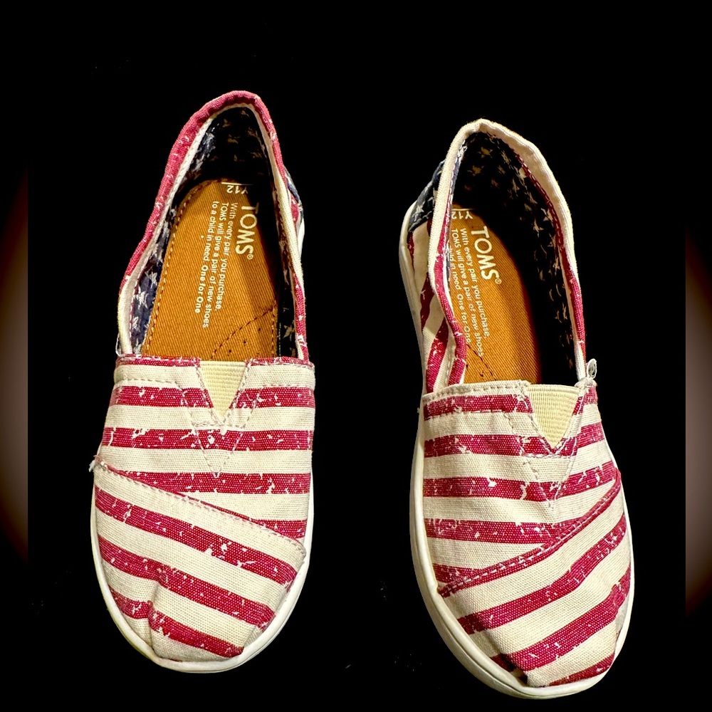 Toms Americana Canvas Shoes